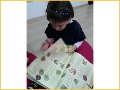 Другаруваме со книгата слика 6